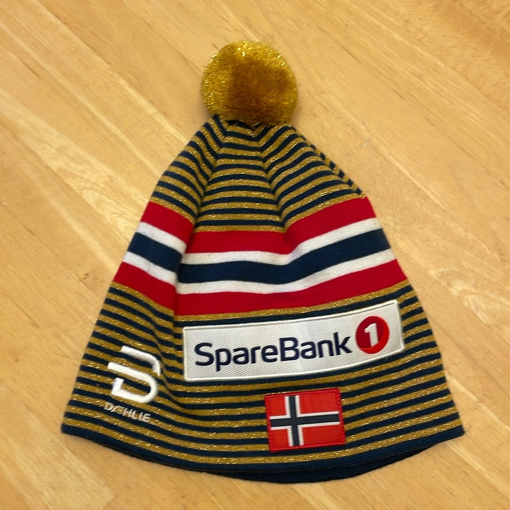 Ski hat